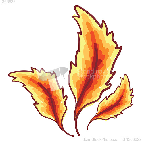 Image of Feathers in red and yellow shades vector or color illustration