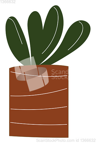 Image of Simple vector illustration of a plant with round leaves in a bro