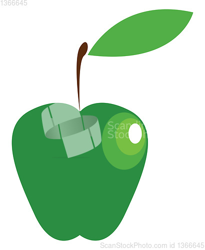 Image of A nutritious farm fresh green apple vector color drawing or illu