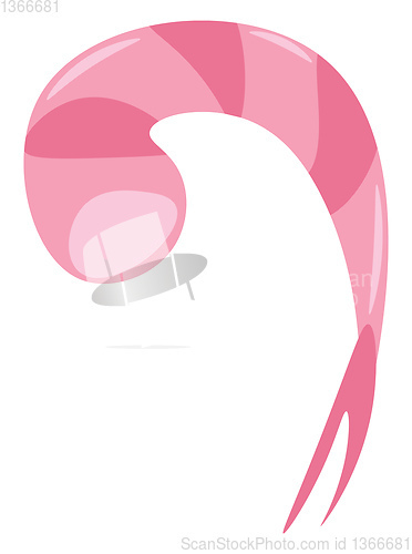 Image of Tail of a pink shrimp vector or color illustration