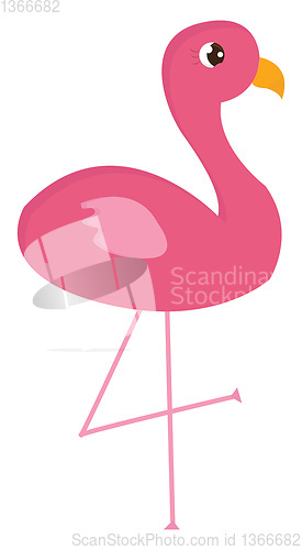 Image of Pink flamingo standing on one leg  vector illustration on white 