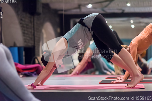 Image of sporty women doing aerobics exercises