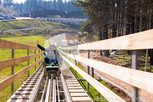 Image of young father and son driving alpine coaster
