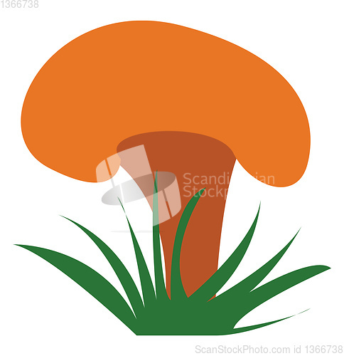 Image of Yellow mushroom plant vector or color illustration