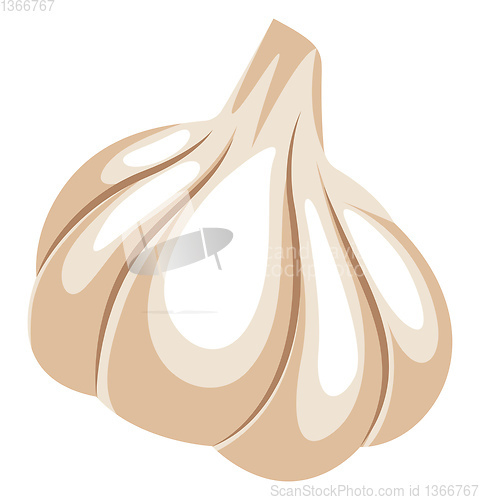 Image of White cartoon garlic vector illustration of vegetables on white 