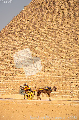 Image of horse driver at the pyramids of Giza Cairo Egypt