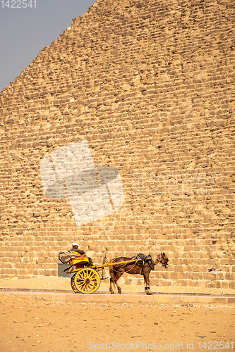 Image of horse driver at the pyramids of Giza Cairo Egypt
