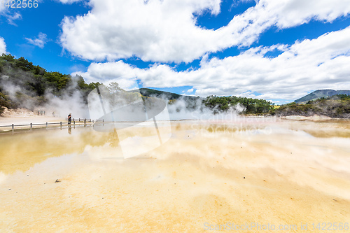 Image of geothermal activity at Rotorua in New Zealand