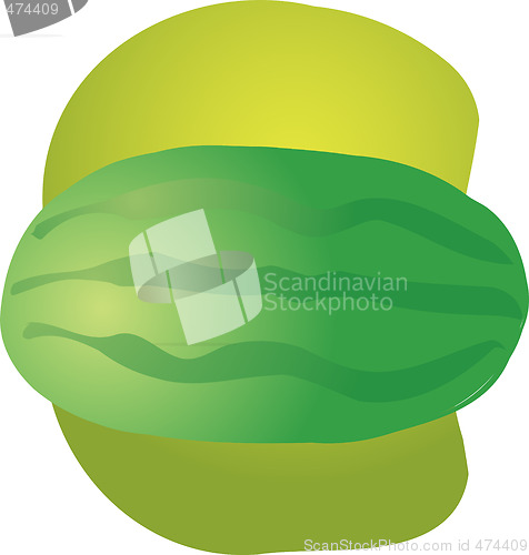 Image of Watermelon fruit illustration