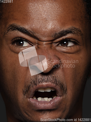 Image of Close up portrait of young african-american man