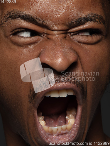 Image of Close up portrait of young african-american man