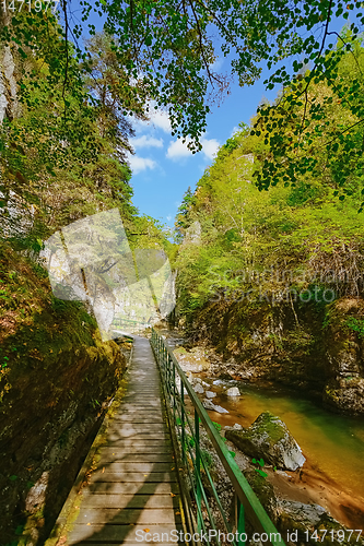 Image of The Devin River Valley