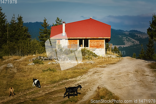 Image of House in the Rhodopes Mountains