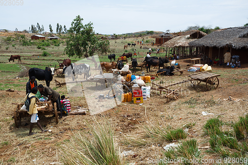 Image of Malagasy peoples on farm in rural Madagascar