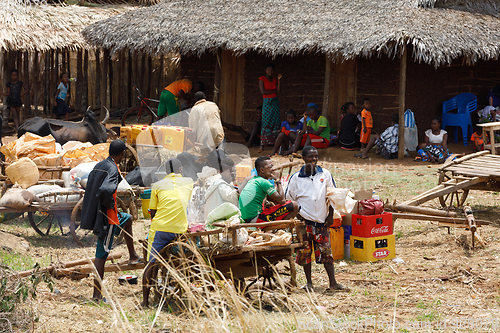 Image of Malagasy peoples on farm in rural Madagascar