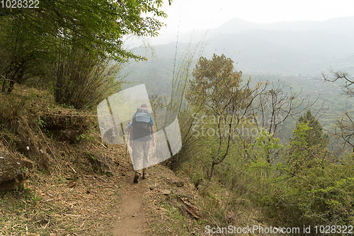 Image of Hiking in Nepal jungle forest