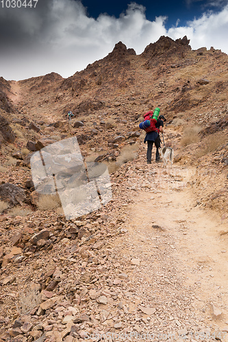 Image of Trekking in Negev dramatic stone desert, Israel 