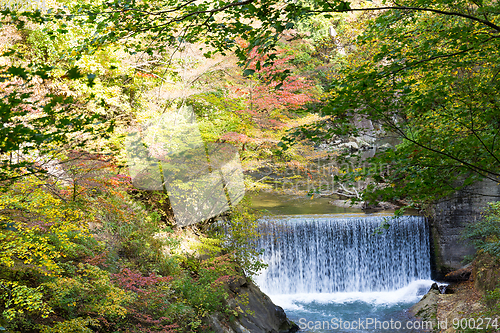 Image of Autumn forest and waterfall