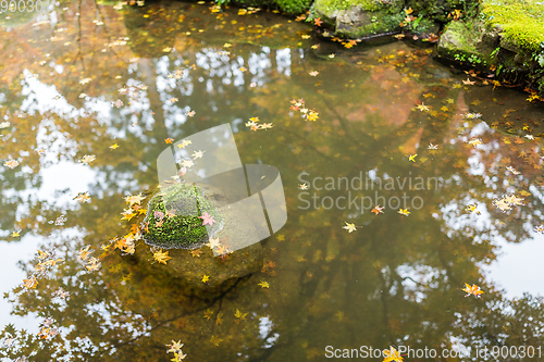 Image of Autumn season landscape in Japanese garden