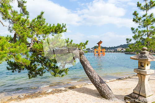 Image of Itsukushima Shrine 