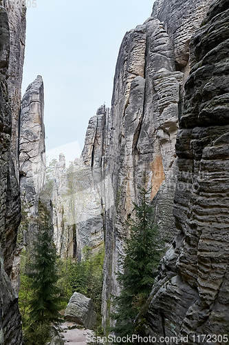 Image of sandstone rocks - Prachovske skaly (Prachov Rocks)