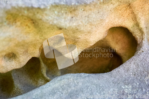 Image of Close up erosion holes of sandstone rock