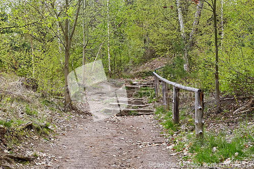 Image of trail in forest, Prachovske skaly (Prachov Rocks)