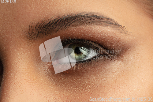 Image of Close up photoshot of beautiful female eye