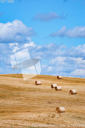Image of Haystacks on the Field