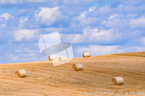 Image of Haystacks on the Field