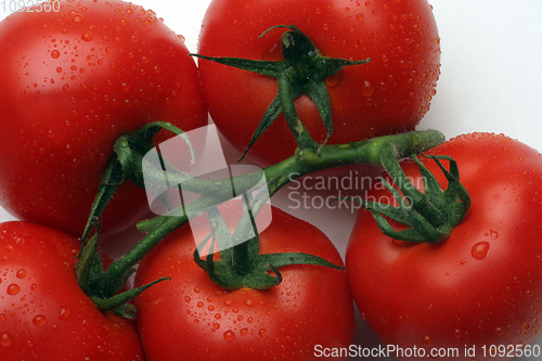 Image of Tomato