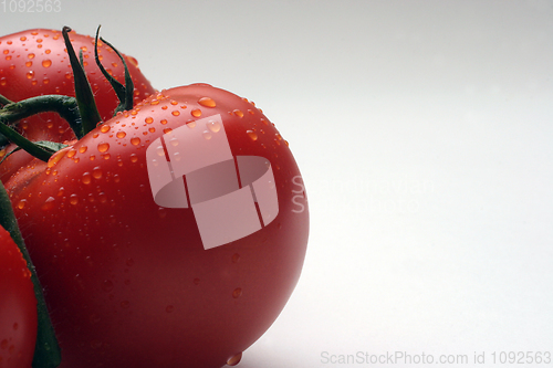Image of Tomato