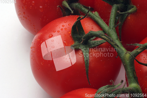 Image of Tomato