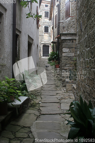 Image of Street in small town Groznjan in Istria, Croatia