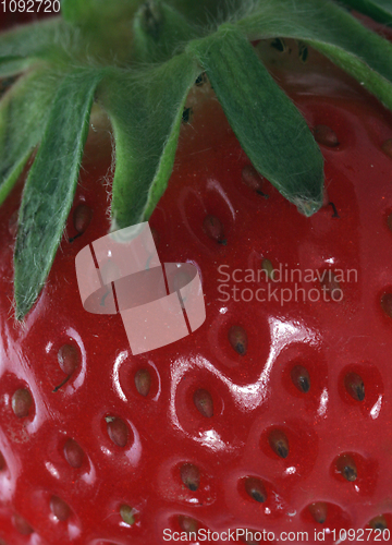 Image of Fresh strawberries