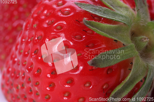 Image of Fresh strawberries