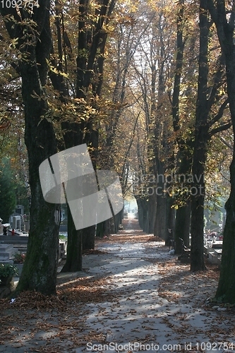 Image of Graveyard road during autumn season