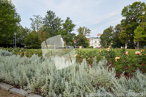 Image of Park near Castle of Liberec