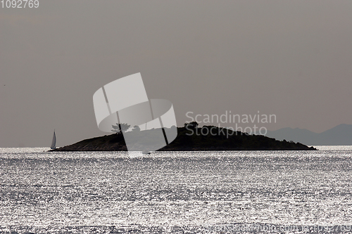 Image of Moonlight on the sea