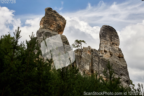 Image of sandstone rocks near Valdstejn gothic castle