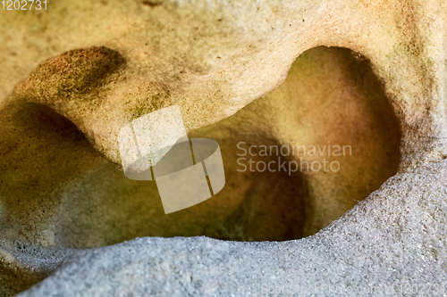 Image of Close up erosion holes of sandstone rock