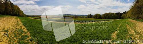 Image of landscape panorama with field and forest