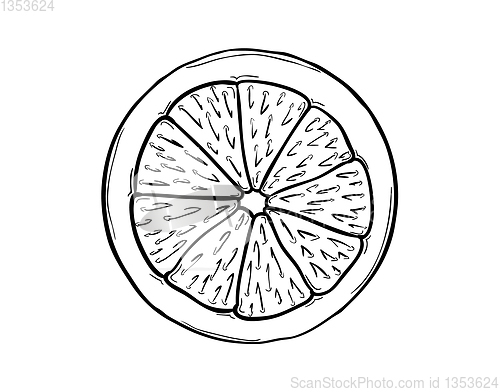 Image of lemon slice on white background