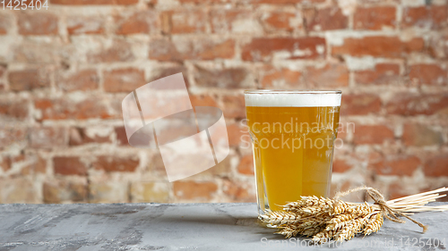 Image of Glass of light beer on white stone background