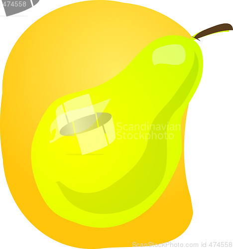 Image of Pear fruit illustration