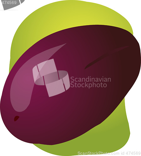Image of Plum fruit illustration