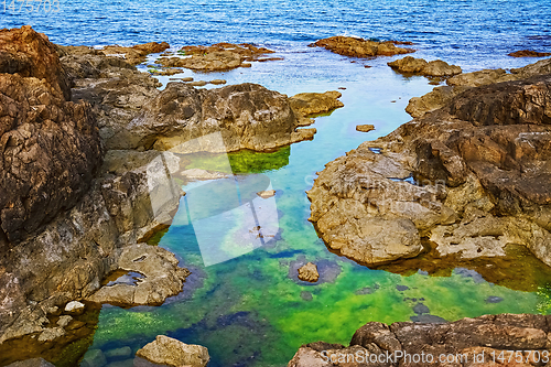 Image of Rocky Coast