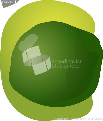 Image of lime illustration