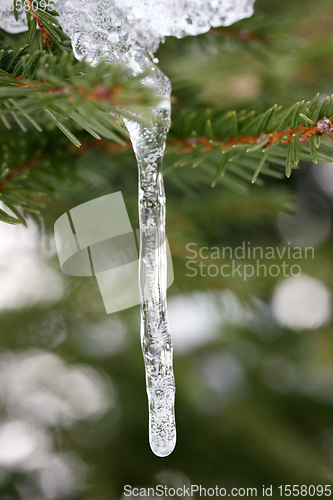 Image of Eiszapfen  icicle