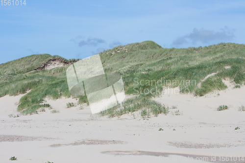 Image of Dünen Dunes 